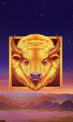 Buffalo's Sun 2