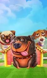The Dog House